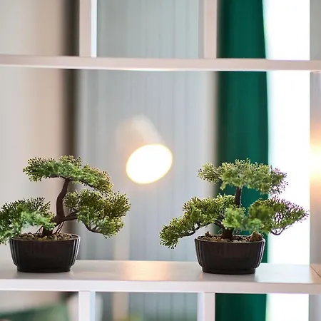 Color 126 - & Pools Access * 마마이아